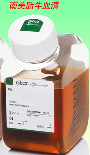 胎牛血清(南美血源)主圖