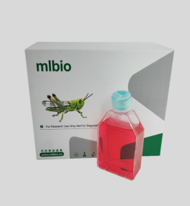 HM1900人小膠質細胞主圖