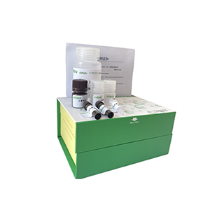 鳥氨酸脫酶(ODC)活性檢測(cè)試劑盒分光法/24樣主圖