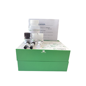 支鏈氨基酸轉(zhuǎn)氨酶(BCAT)活性測(cè)定試劑盒分光法/24樣主圖