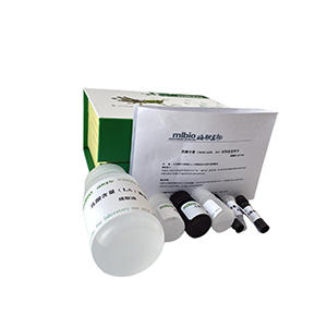 抗脂質(zhì)過氧化能力/LPO抑制率測(cè)定試劑盒微板法/96樣主圖