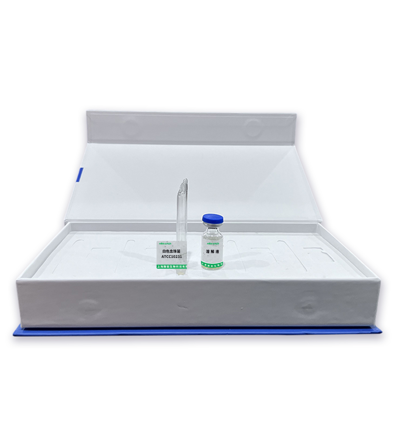 白色念珠菌ATCC10231主圖