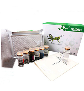 大鼠C-反應蛋白(CRP)試劑盒主圖