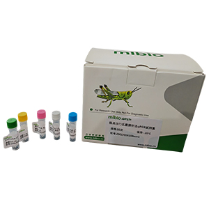 丹毒絲菌屬通用探針法qPCR試劑盒(不含內參)主圖