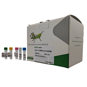 JC多瘤病毒探針法qPCR試劑盒(不含內參)主圖