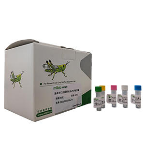 化膿性鏈球菌(釀膿鏈球菌)探針法qPCR試劑盒(不含內(nèi)參) 主圖