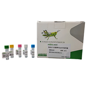 人腺病毒D91型探針法qPCR試劑盒(不含內(nèi)參)主圖