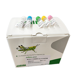 脊髓灰質(zhì)炎病毒1型探針法qRT-PCR試劑盒(不含內(nèi)參)主圖