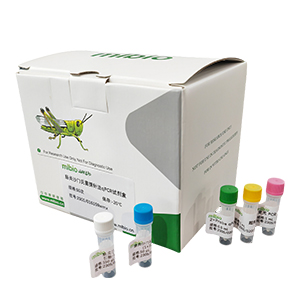 柯薩奇病毒A5型變種探針法qRT-PCR試劑盒(不含內(nèi)參)主圖